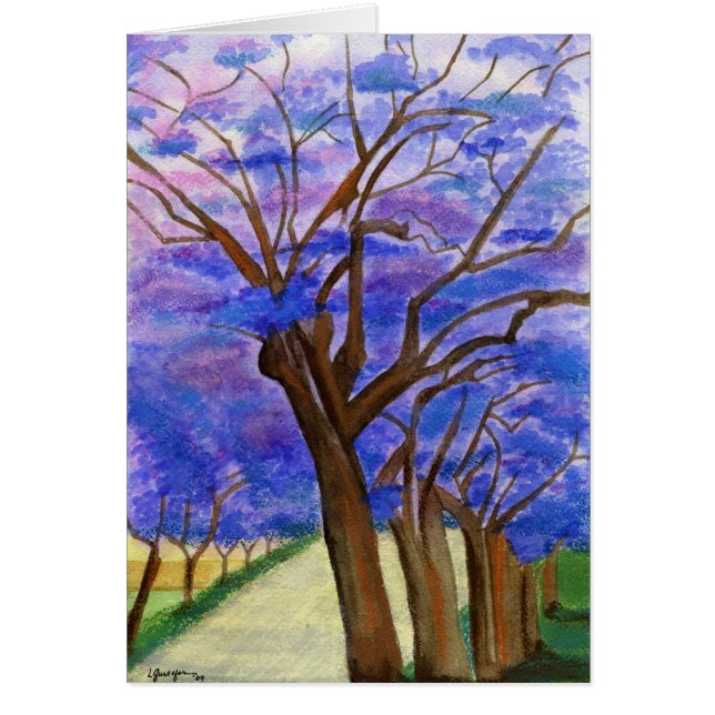 Jacarandas (Vorne)