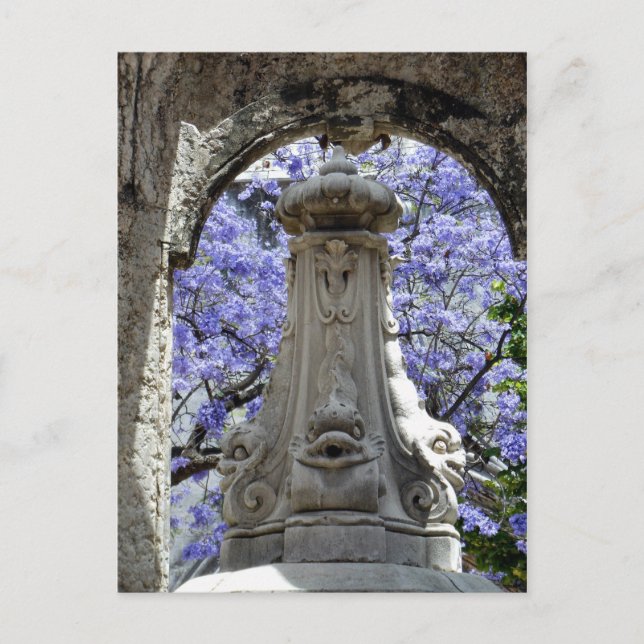 Jacarandi Postkarte (Vorderseite)