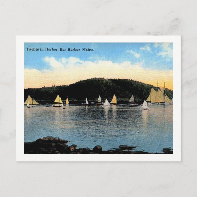 Jachten, Bar Harbour, Maine, Vintag Postkarte (Vorderseite)