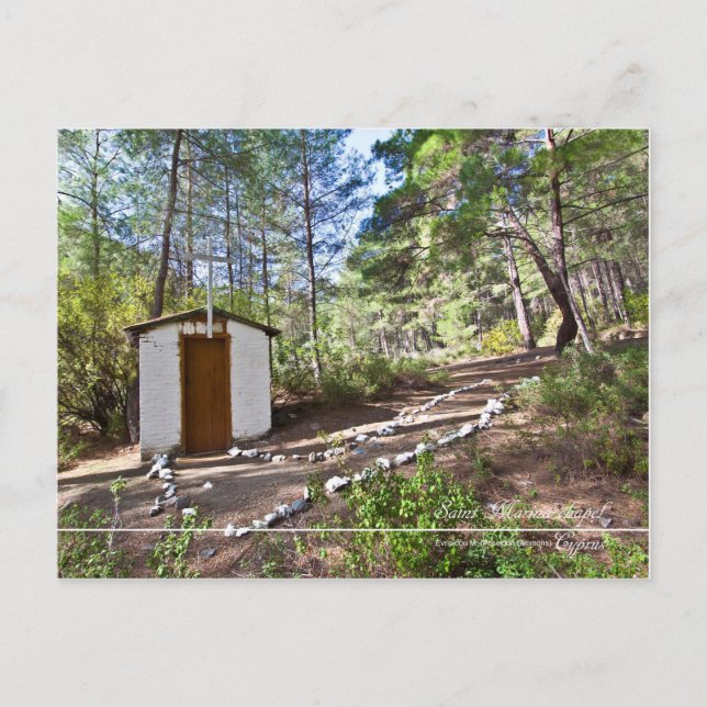 Jachthafen-Kapelle im zyprischen Wald Postkarte (Vorderseite)