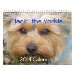 "Jack" das Yorkie - Kalender 2014
