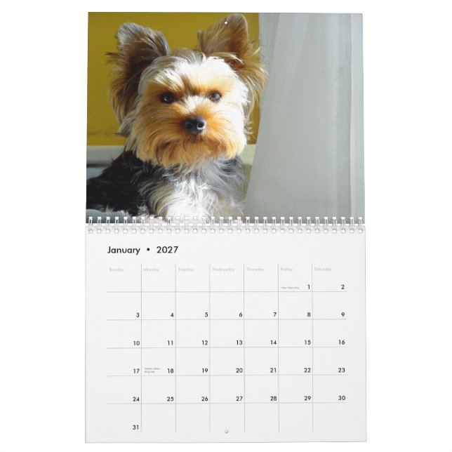 "Jack" das Yorkie - Kalender 2014 (Jan 2027)