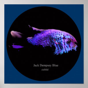 Jack dempsey blau poster