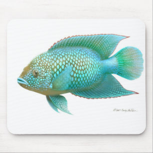 Jack Dempsey Cichlid-Fische Mousepad