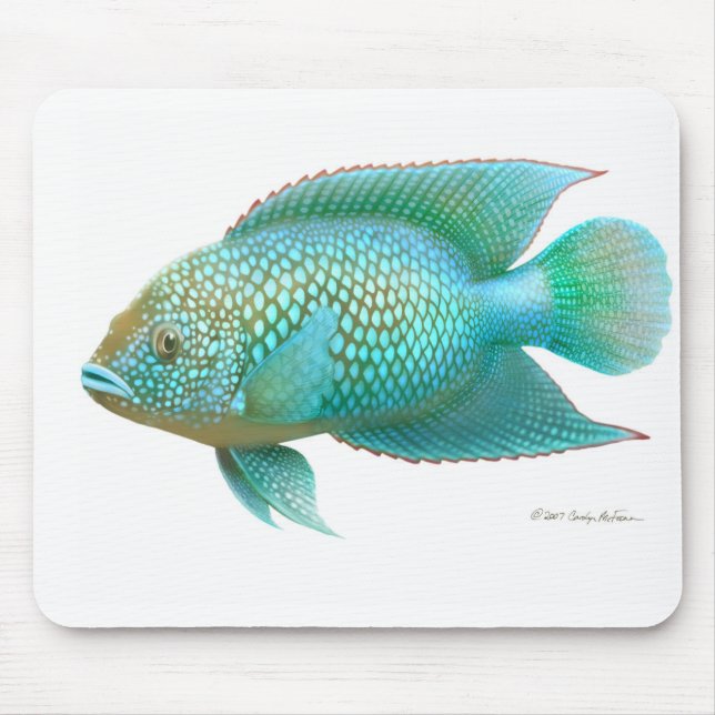 Jack Dempsey Cichlid-Fische Mousepad (Vorne)
