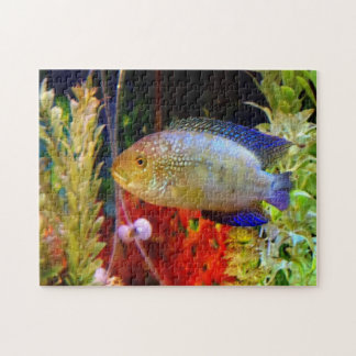 Jack Dempsey Cichlid-Puzzlespiel Puzzle