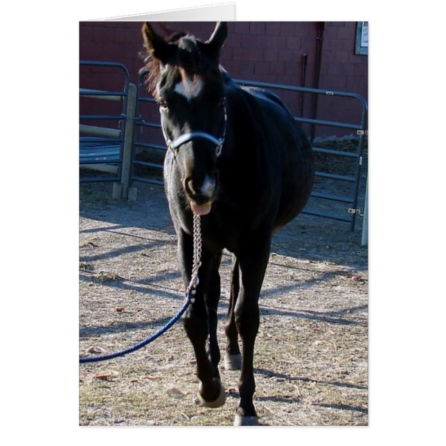 Jack hält seine Zunge heraus (Vorne)