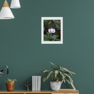 Jack-in-the-Pulpit Pflanze Aristoteles Nature Zita Poster