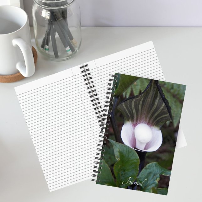 Jack-in-the-Pulpit-Pflanze Botanisch Notizbuch (In Situ)