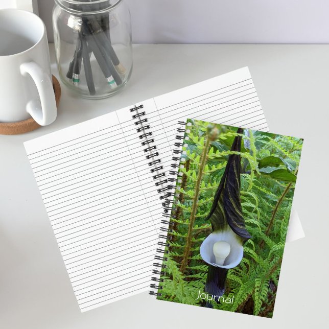 Jack-in-the-Pulpit-Pflanze Notizbuch (In Situ)