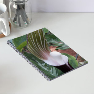 Jack-in-the-Pulpit-Pflanzenblüte Notizblock