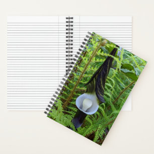 Jack-in-the-Pulpit-Waldpflanze Notizbuch