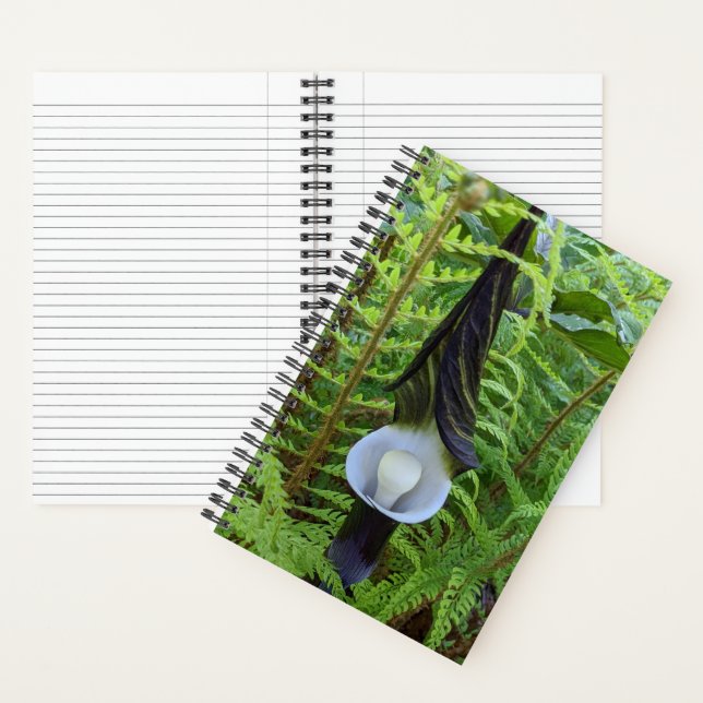 Jack-in-the-Pulpit-Waldpflanze Notizbuch (Innen)