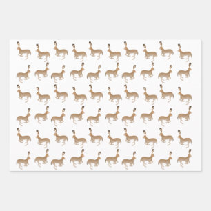 Jack Kaninchen Wrapping Paper Sheets Geschenkpapier Set