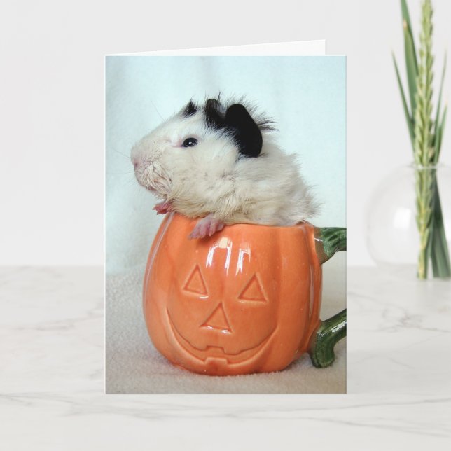 Jack-O-Lantern Guinea Pig Karte (Vorderseite)
