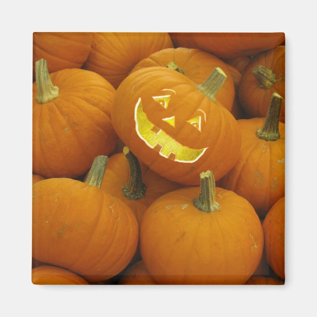 Jack-O-Lantern in einem Kürbisgeflecht Magnet (Vorne)