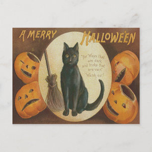 Jack O' Lantern Pumpkin Black Cat Broom Postkarte