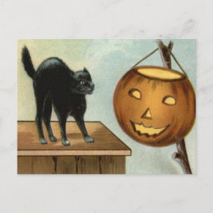 Jack O' Lantern Schwarze Katze Kürbis Postkarte