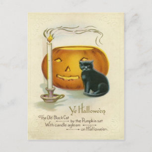 Jack O Lantern schwarze Katzenkerze Postkarte