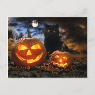 "Jack O' Lanterns & Jet" Postkarte