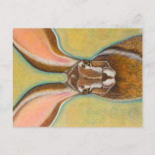 Jack Rabbit Postkarte