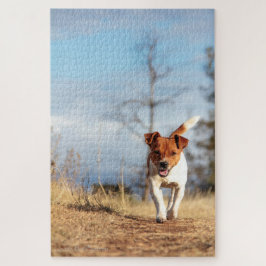 Jack Russel auf dem Lauf… Puzzle