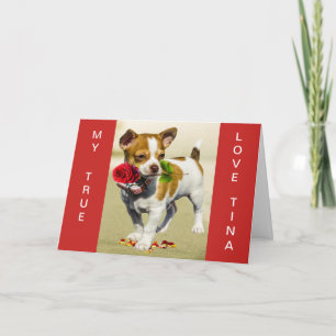 JACK RUSSEL CUSTOM VALENTINE-KARTE KARTE