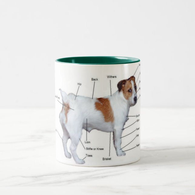 Jack-Russel-Diagrammbecher Zweifarbige Tasse (Mittel)