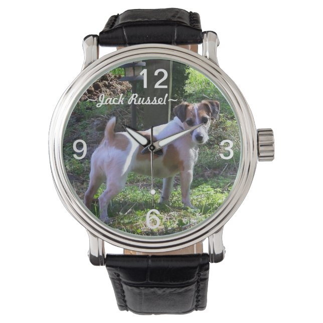 Jack Russel Dog Watch Armbanduhr (Vorderseite)