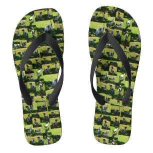 Jack Russel FotoCollage, Flip Flops
