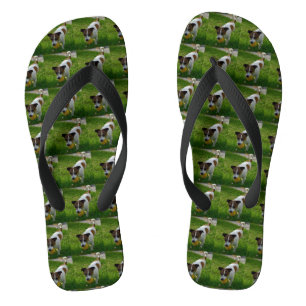 Jack Russel Play Time Flip Flops