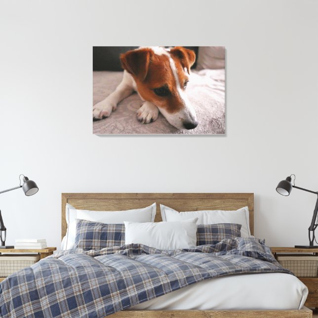 Jack Russel Terier Leinwanddruck (Insitu (Schlafzimmer))