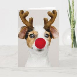 JACK RUSSEL TERRIER-CHRISTMAS-Faltkarte Karte