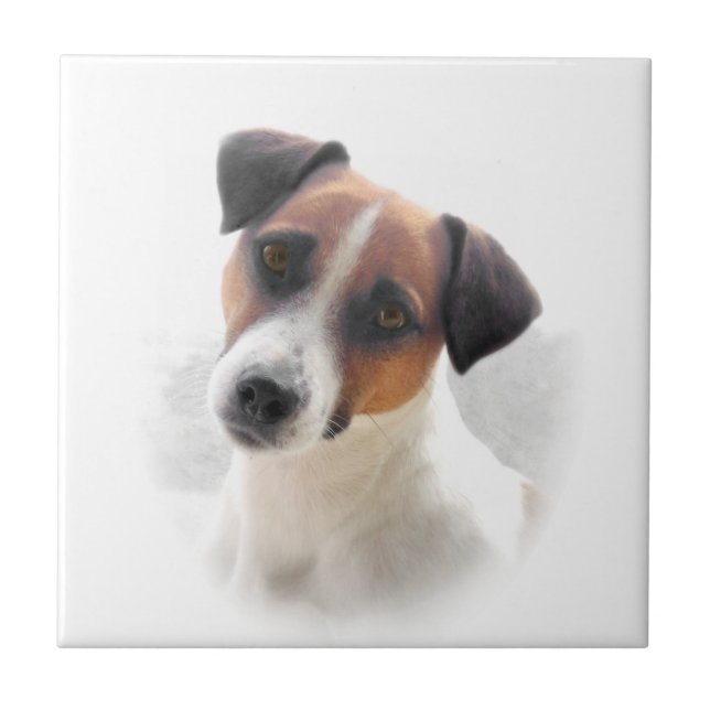 Jack-Russel-Terrier-Fliese Fliese (Vorderseite)