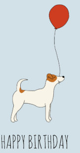 Aktuelles Tender Fellows Parson Russell Terrier