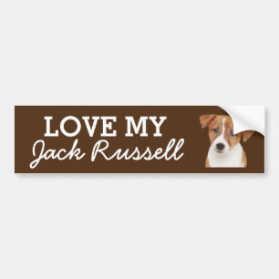 Jack Russell Autoaufkleber