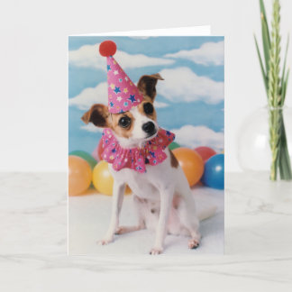 Jack Russell Dog Birthday Card Karte
