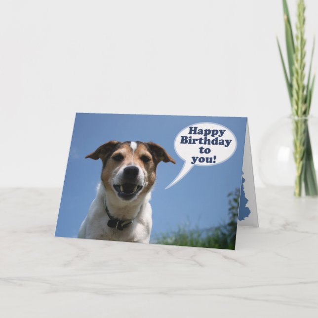 Jack Russell dog Happy Birthday card Karte (Vorderseite)