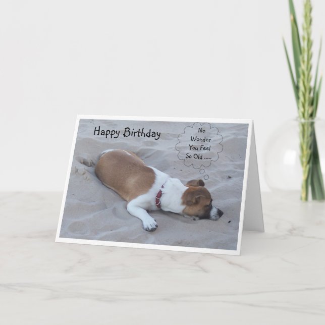 Jack Russell Dog Humororer Geburtstag Karte (Vorderseite)