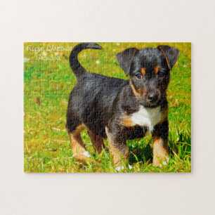 Jack Russell Dog. Puzzle