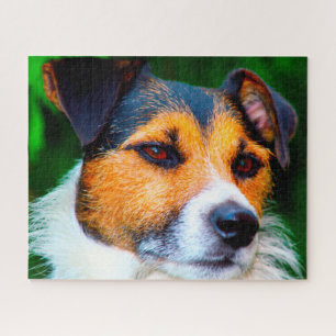 Jack Russell Dog. Puzzle