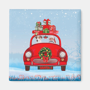 Jack Russell fährt mit dem Weihnachtsmann in Auto Magnet