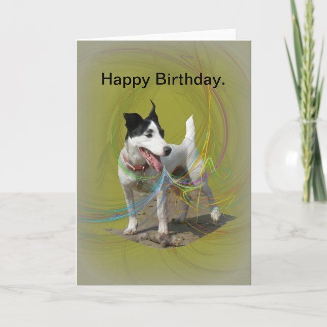 Jack Russell Geburtstagskarte. Karte (Vorderseite)