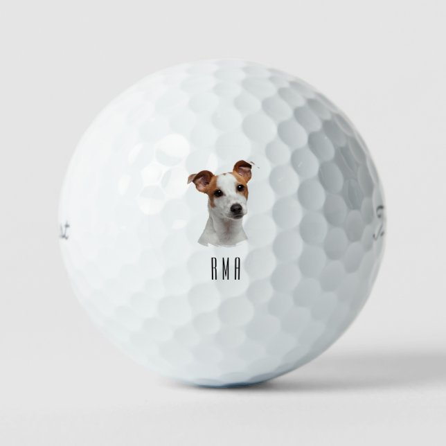 Jack Russell Golfball (Vorderseite)
