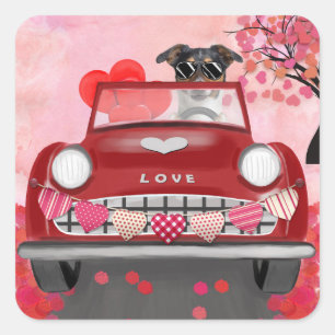 Jack Russell Hund Auto mit Herzen Valentinstag  Quadratischer Aufkleber