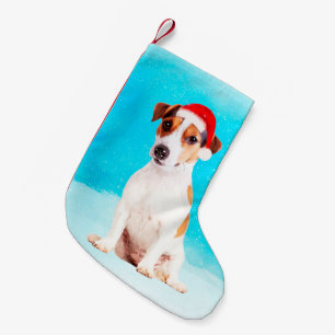 Jack Russell Hund im Schnee sitzen mit Weihnachtsm Kleiner Weihnachtsstrumpf