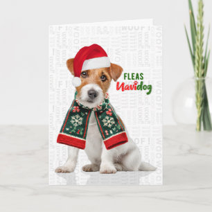 Jack Russell Hund Lustige Flöhe Navidog Weihnachte Feiertagskarte
