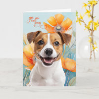 Jack Russell Hund Orange Mohnblumen Gute Besserung