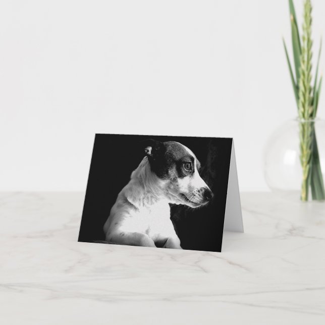 Jack Russell im Gedanken Karte (Vorderseite)
