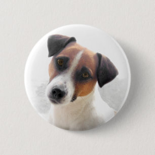 Jack-Russell-Knopf Button